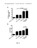 INDUCED ACTIVATION IN DENDRITIC CELLS diagram and image