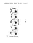 INDUCED ACTIVATION IN DENDRITIC CELLS diagram and image