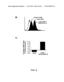 INDUCED ACTIVATION IN DENDRITIC CELLS diagram and image