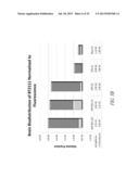 P97-ANTIBODY CONJUGATES AND METHODS OF USE diagram and image