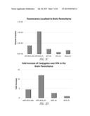 P97-ANTIBODY CONJUGATES AND METHODS OF USE diagram and image