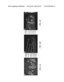 P97-ANTIBODY CONJUGATES AND METHODS OF USE diagram and image