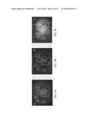 P97-ANTIBODY CONJUGATES AND METHODS OF USE diagram and image