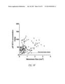 P97-ANTIBODY CONJUGATES AND METHODS OF USE diagram and image