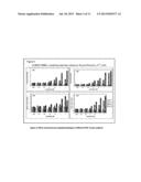 SYNTHETIC IMMUNOGEN USEFUL FOR GENERATING LONG LASTING IMMUNITY AND     PROTECTION AGAINST PATHOGENS diagram and image