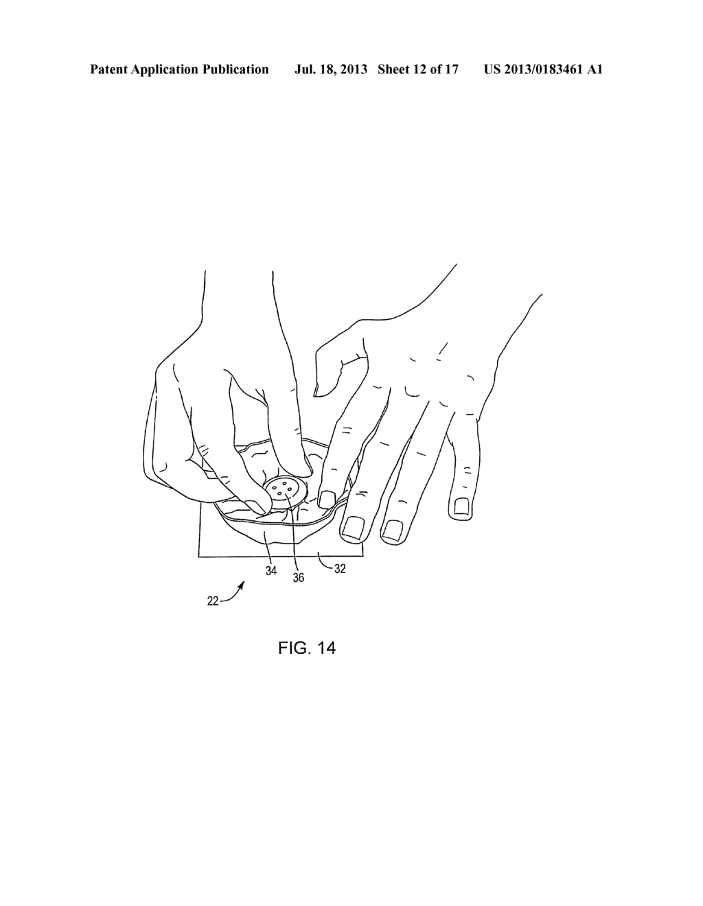 CRAFT FLOWER AND METHOD OF MAKING A CRAFT FLOWER - diagram, schematic, and image 13