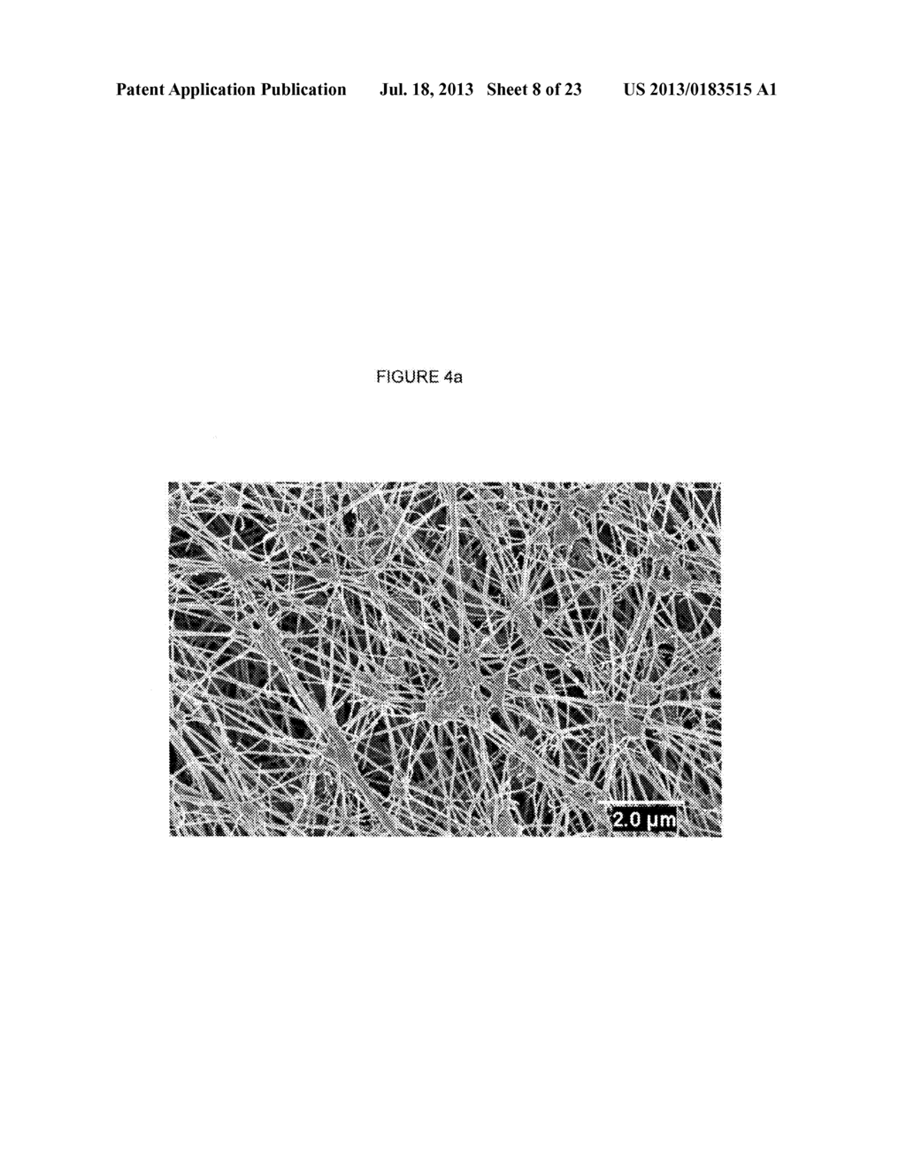 Articles including expanded polytetrafluoroethylene membranes with     serpentine fibrils - diagram, schematic, and image 09