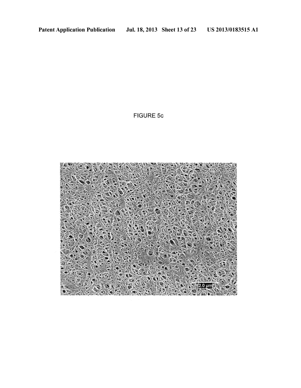 Articles including expanded polytetrafluoroethylene membranes with     serpentine fibrils - diagram, schematic, and image 14