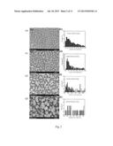 Metal nanopillars for surface-enhanced Raman Spectroscopy (SERS) substrate     and method for preparing same diagram and image