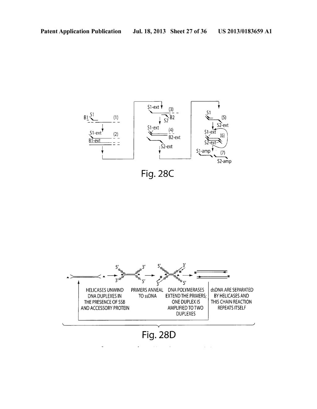 MICROFLUIDIC DEVICES - diagram, schematic, and image 28