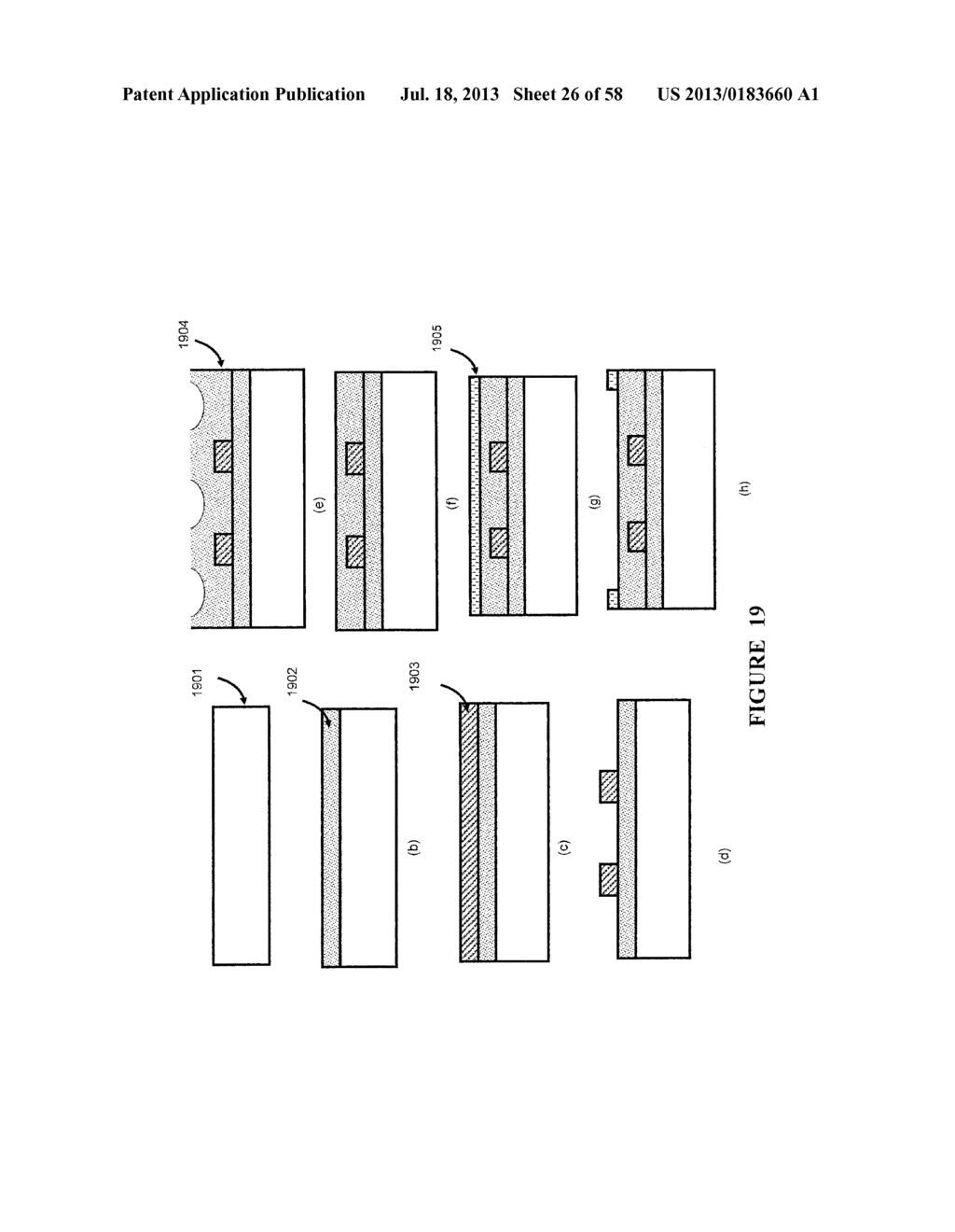 Apparatus for Disease Detection - diagram, schematic, and image 27