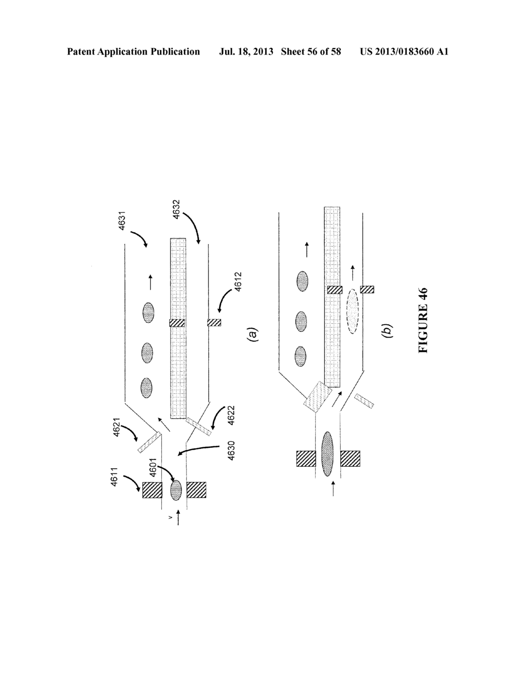 Apparatus for Disease Detection - diagram, schematic, and image 57