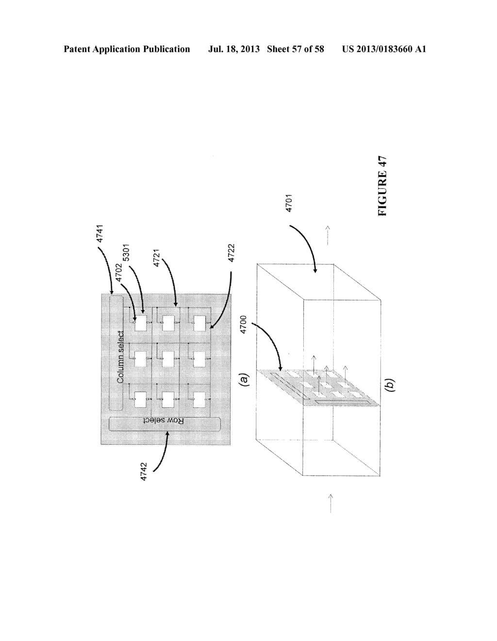 Apparatus for Disease Detection - diagram, schematic, and image 58