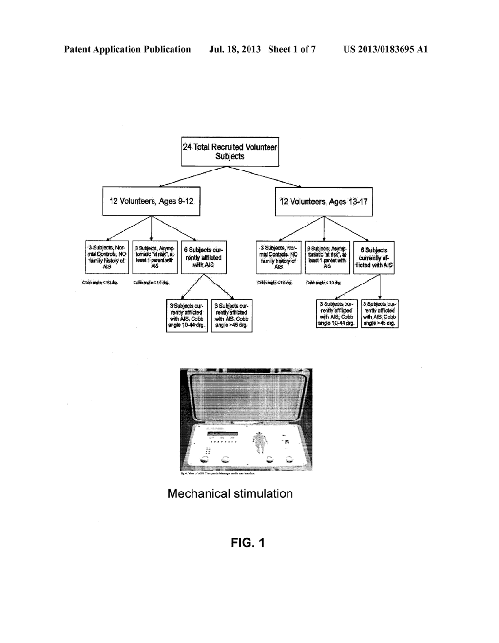 BIOMECHANICAL-BASED METHODS OF DIAGNOSING SCOLIOSIS - diagram, schematic, and image 02