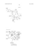 PROCESSING BIOMASS diagram and image