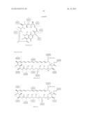 PROCESSING BIOMASS diagram and image