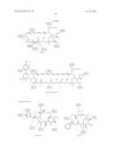 PROCESSING BIOMASS diagram and image