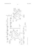 PROCESSING BIOMASS diagram and image