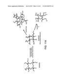 PROCESSING BIOMASS diagram and image