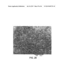 PROCESSING BIOMASS diagram and image