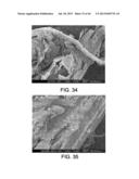 PROCESSING BIOMASS diagram and image