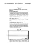 TRANSGENIC PLANTS MODIFIED FOR REDUCED CADMIUM TRANSPORT, DERIVATIVE     PRODUCTS, AND RELATED METHODS diagram and image