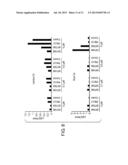 TRANSGENIC PLANTS MODIFIED FOR REDUCED CADMIUM TRANSPORT, DERIVATIVE     PRODUCTS, AND RELATED METHODS diagram and image