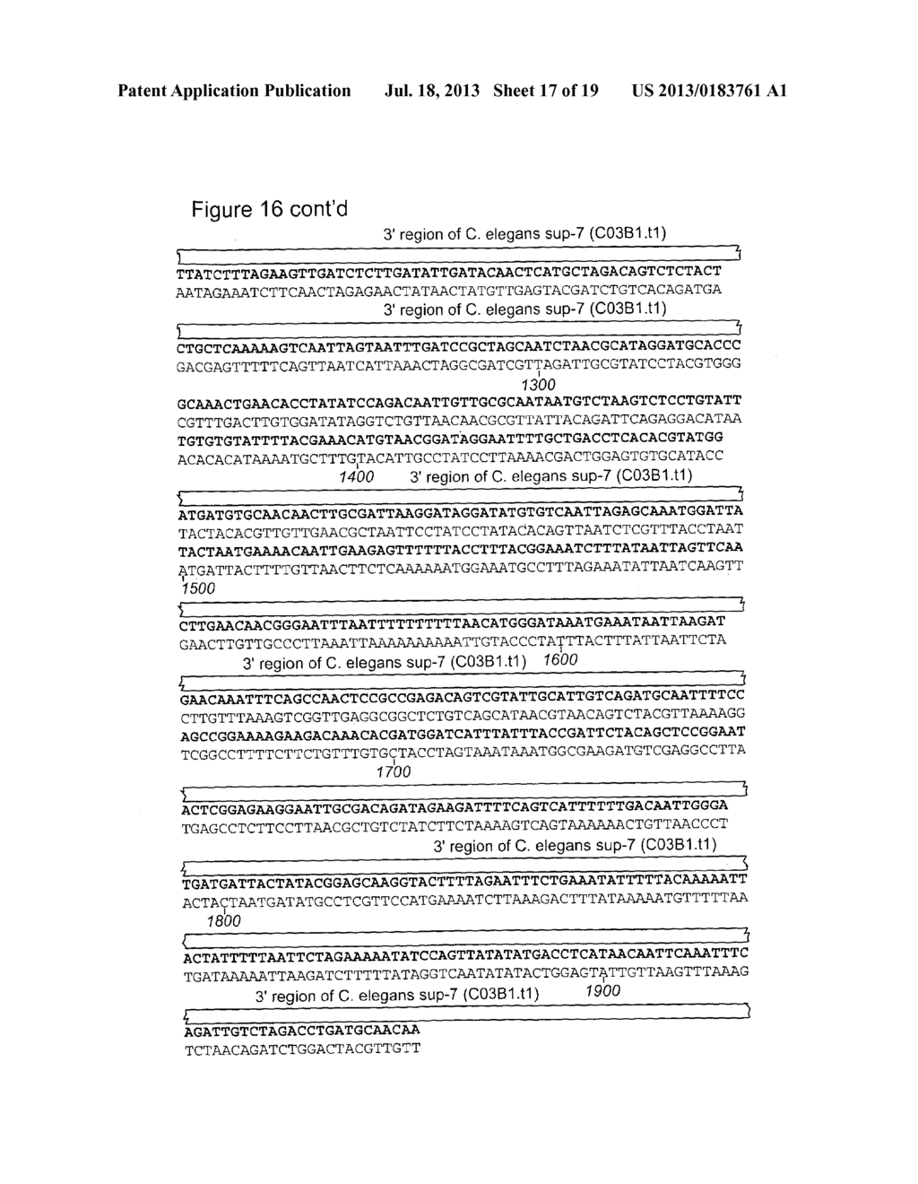 Methods for Incorporating Unnatural Amino Acids in Eukaryotic Cells - diagram, schematic, and image 18