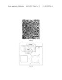 OPTOELECTRICAL VAPOR SENSING diagram and image