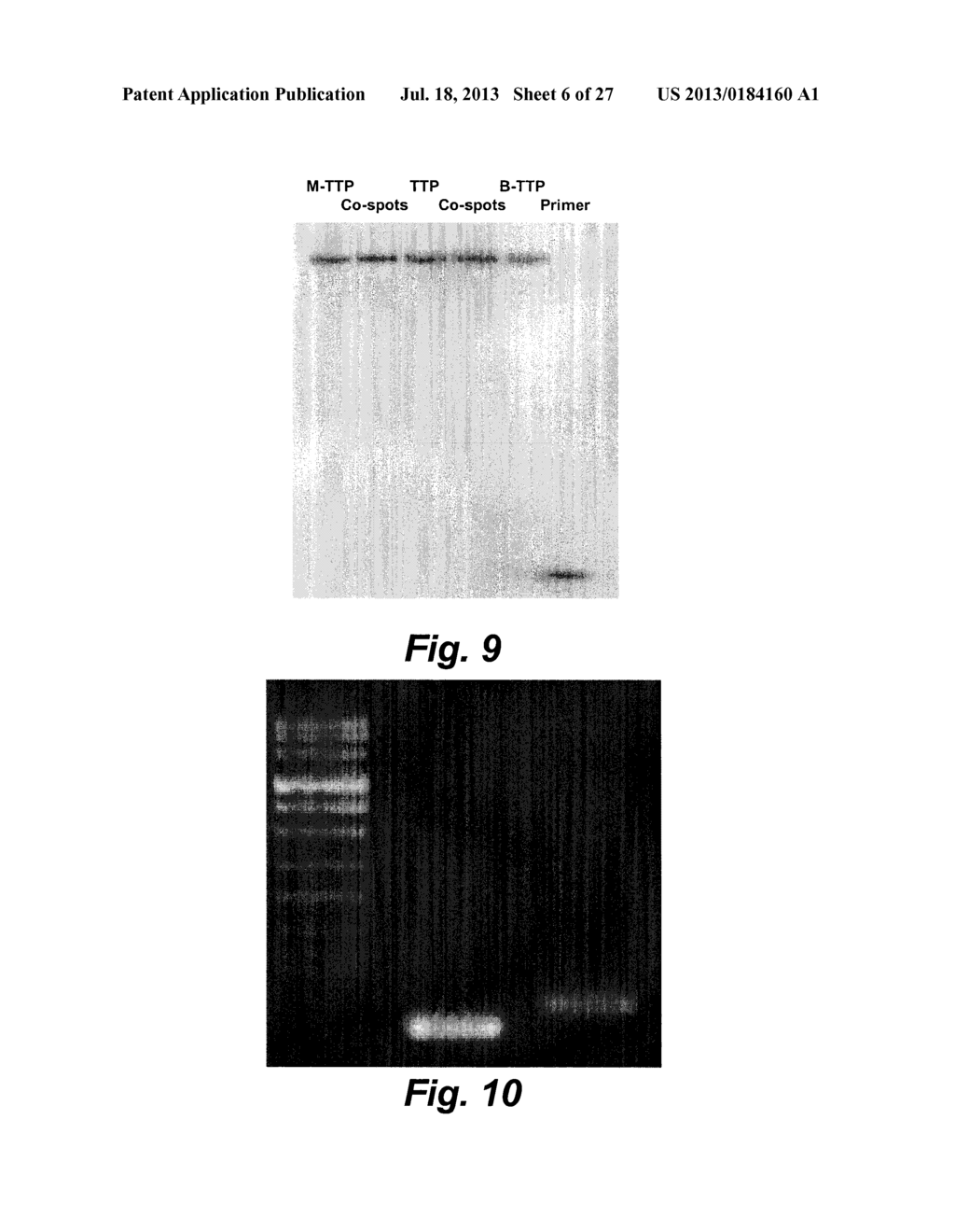 NUCLEOTIDES AND APTAMERS CONTAINING BORONIC ACID GROUPS HAVING BIASED     BINDING TO GLYCOSYLATED PROTEINS, AND USES THEREOF - diagram, schematic, and image 07