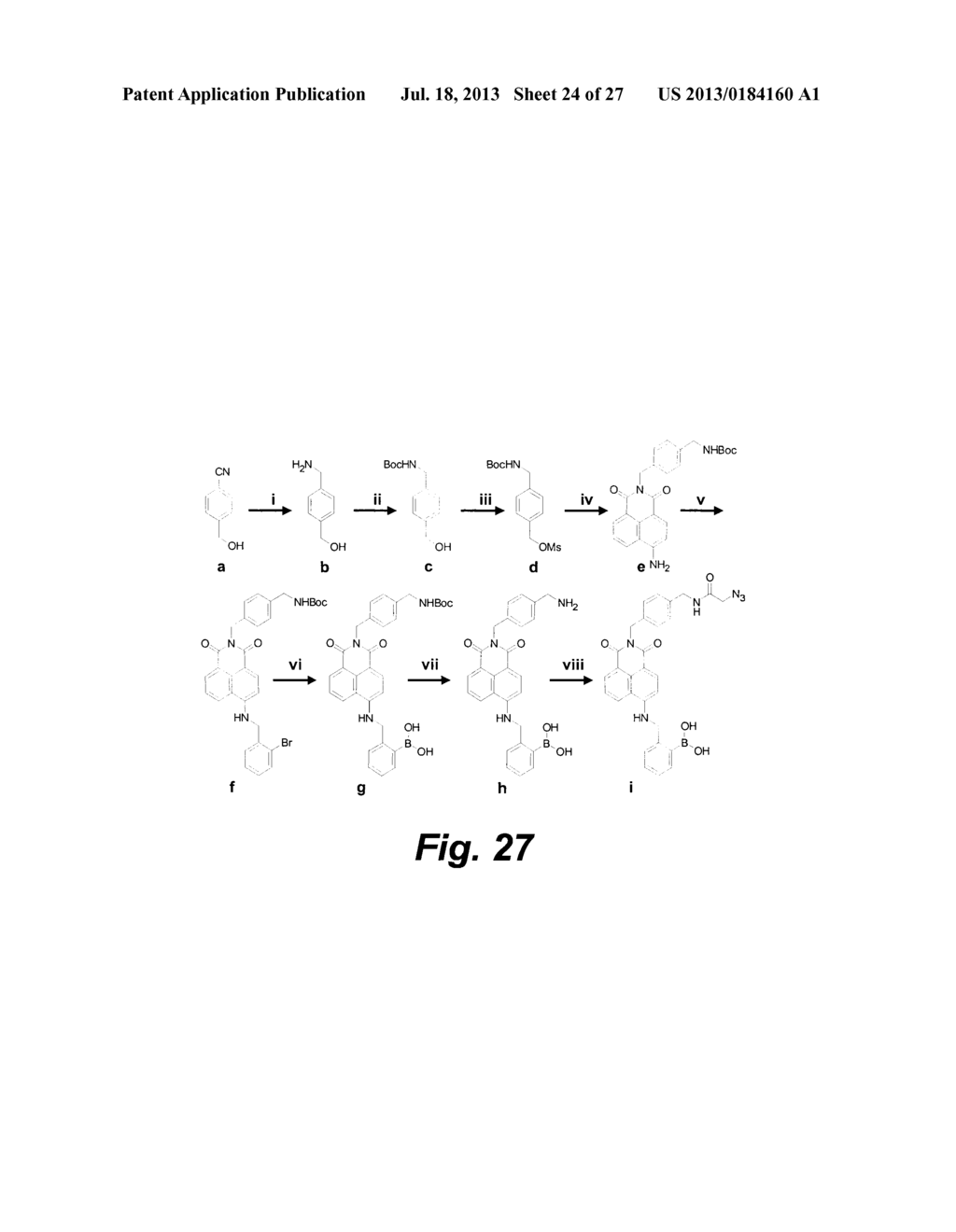 NUCLEOTIDES AND APTAMERS CONTAINING BORONIC ACID GROUPS HAVING BIASED     BINDING TO GLYCOSYLATED PROTEINS, AND USES THEREOF - diagram, schematic, and image 25