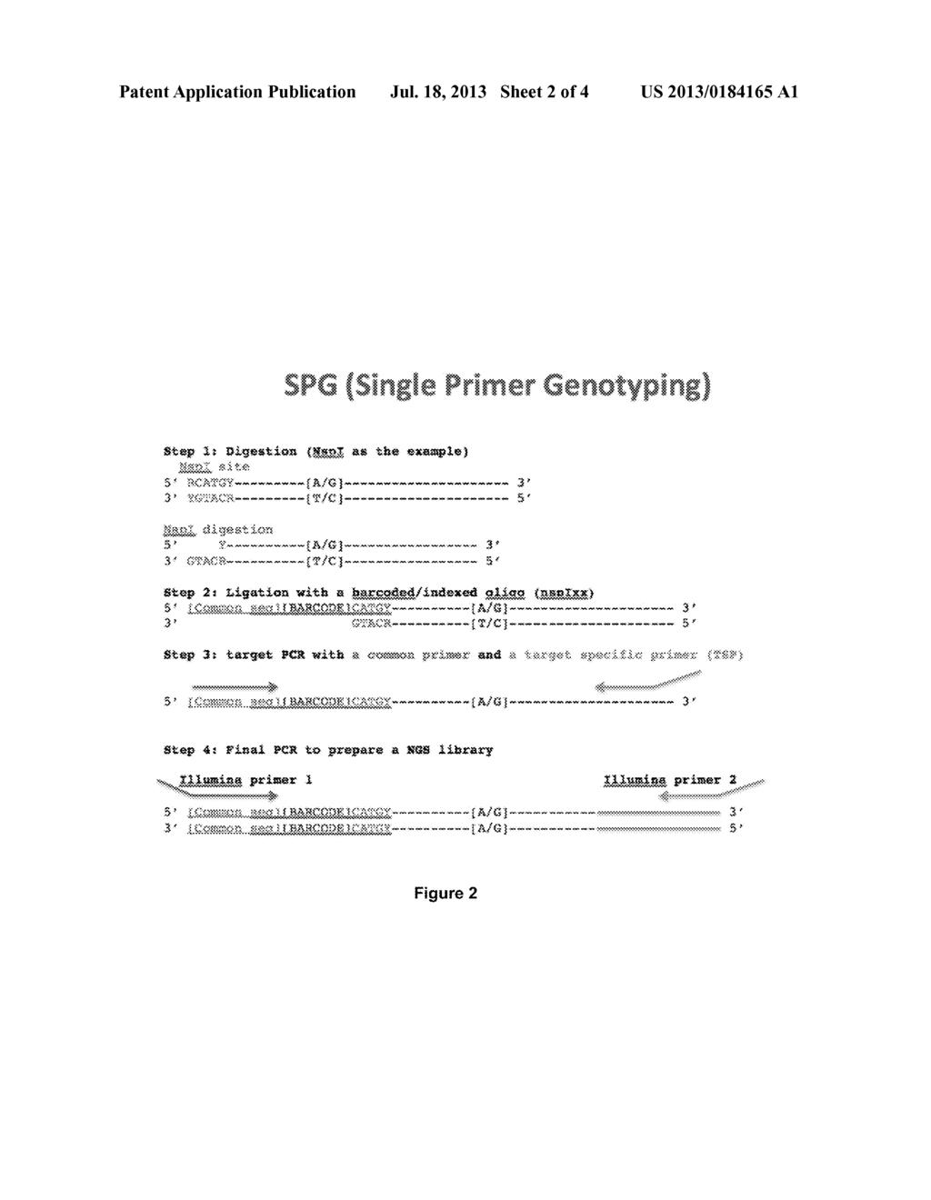 GENOTYPING BY NEXT-GENERATION SEQUENCING - diagram, schematic, and image 03