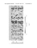 GENETIC MARKERS FOR THE PROGNOSIS OF MULTIPLE SCLEROSIS diagram and image