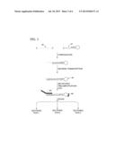 MULTIPLEXED AMPLIFICATION OF SHORT NUCLEIC ACIDS diagram and image