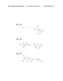 MULTIPLEXED AMPLIFICATION OF SHORT NUCLEIC ACIDS diagram and image