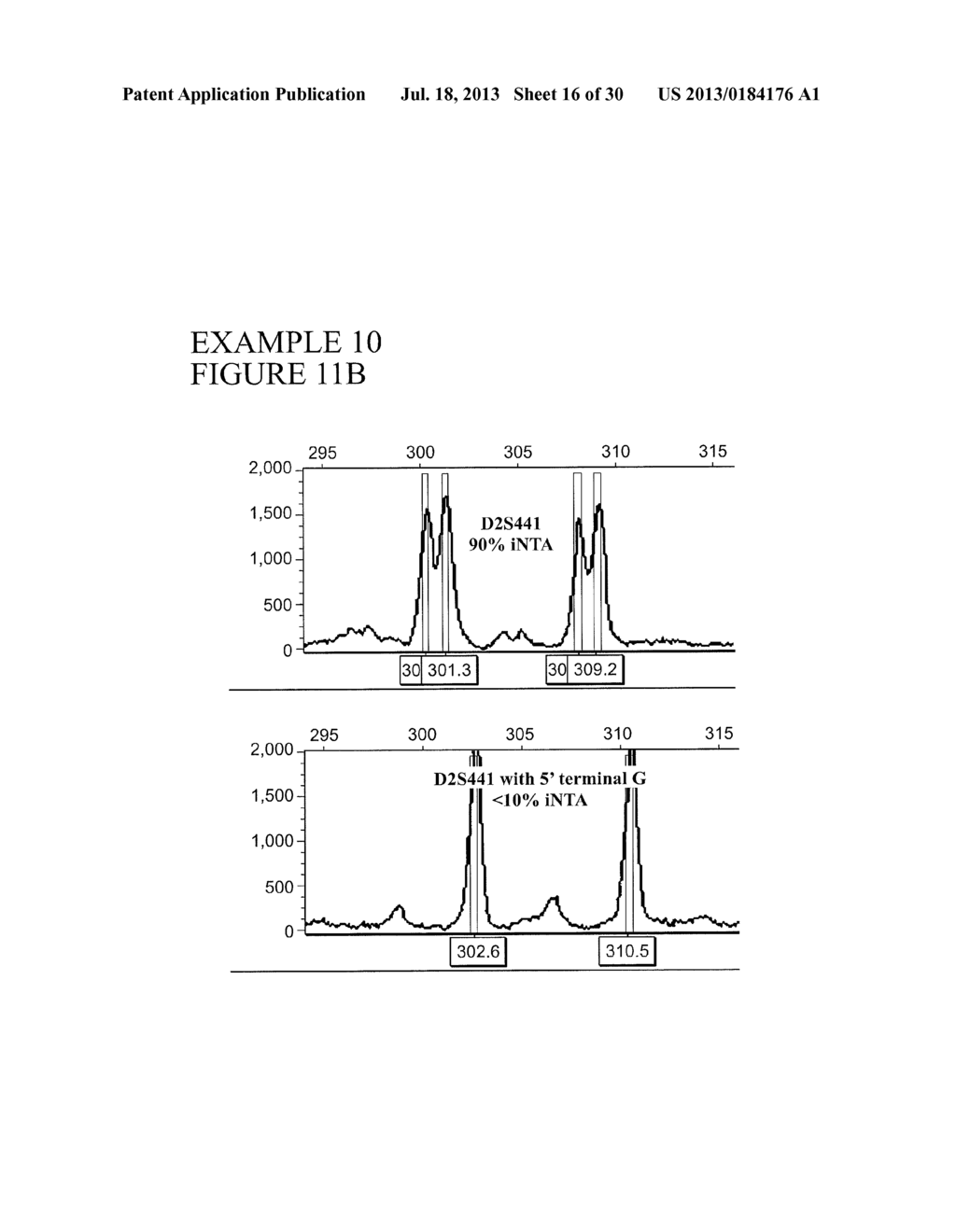 Methods and Compositions for Rapid Multiplex Amplification of STR Loci - diagram, schematic, and image 17