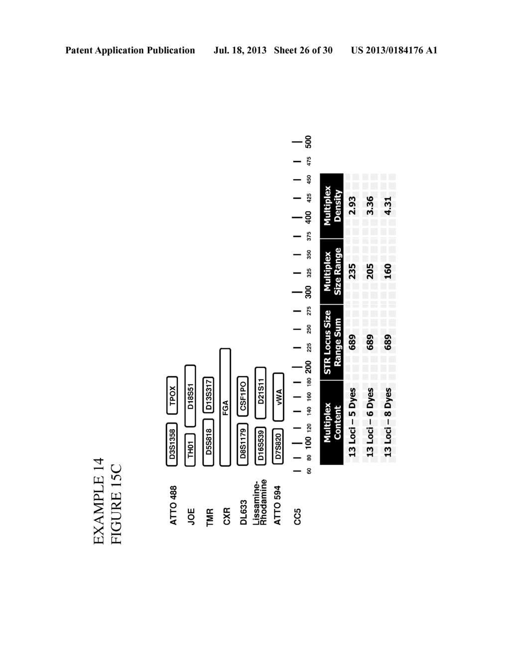 Methods and Compositions for Rapid Multiplex Amplification of STR Loci - diagram, schematic, and image 27