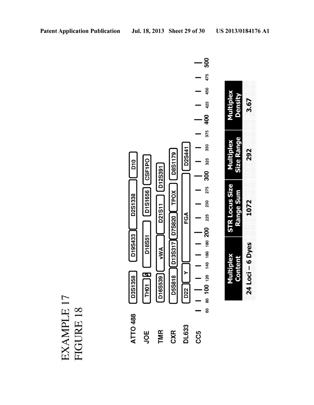 Methods and Compositions for Rapid Multiplex Amplification of STR Loci - diagram, schematic, and image 30