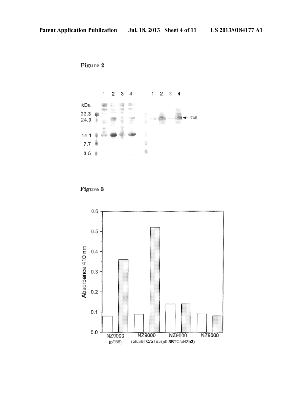 BACTERIAL SURFACE DISPLAY AND SCREENING OF THIOETHER-BRIDGE-CONTAINING     PEPTIDES - diagram, schematic, and image 05