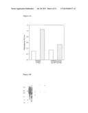 BACTERIAL SURFACE DISPLAY AND SCREENING OF THIOETHER-BRIDGE-CONTAINING     PEPTIDES diagram and image