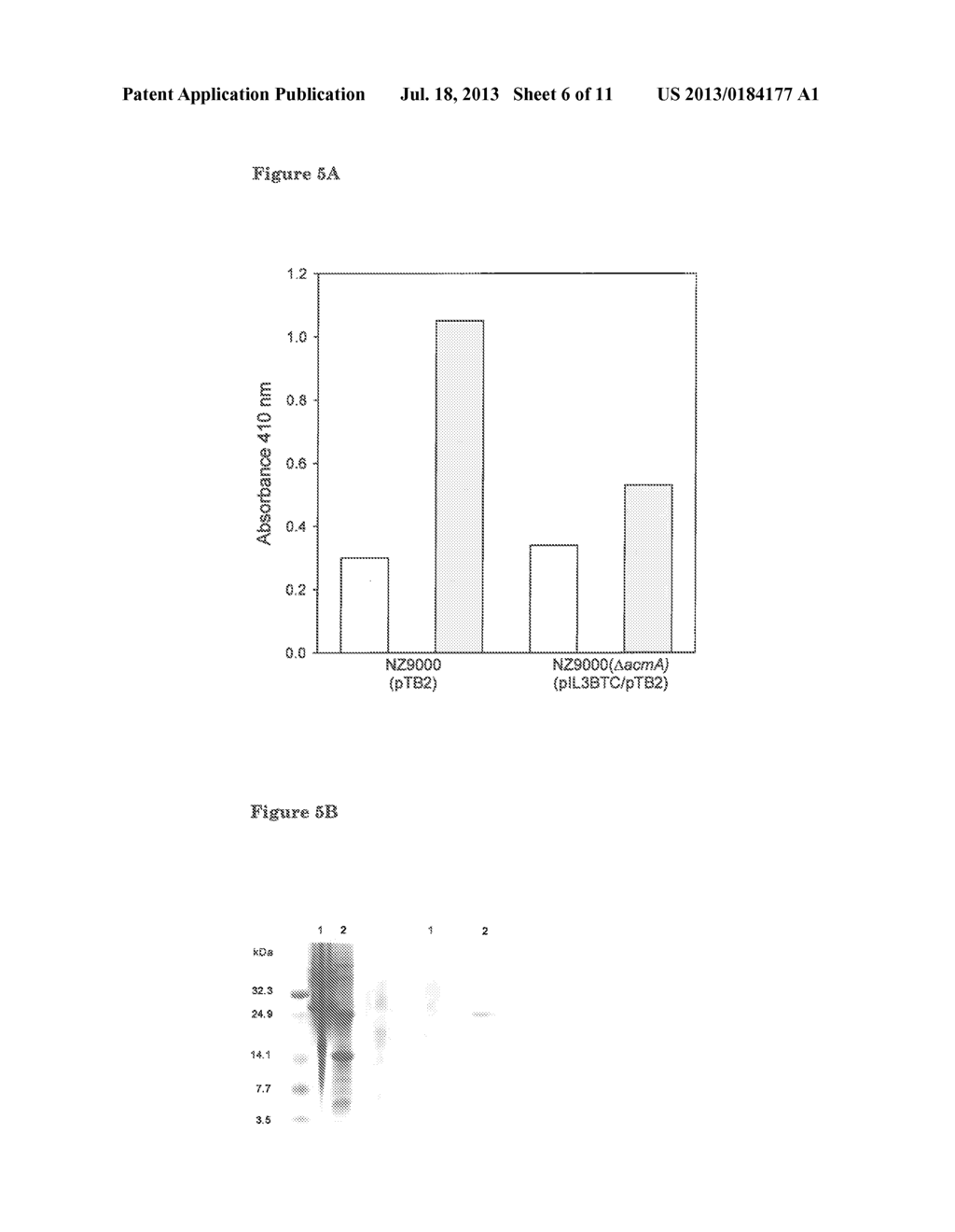 BACTERIAL SURFACE DISPLAY AND SCREENING OF THIOETHER-BRIDGE-CONTAINING     PEPTIDES - diagram, schematic, and image 07