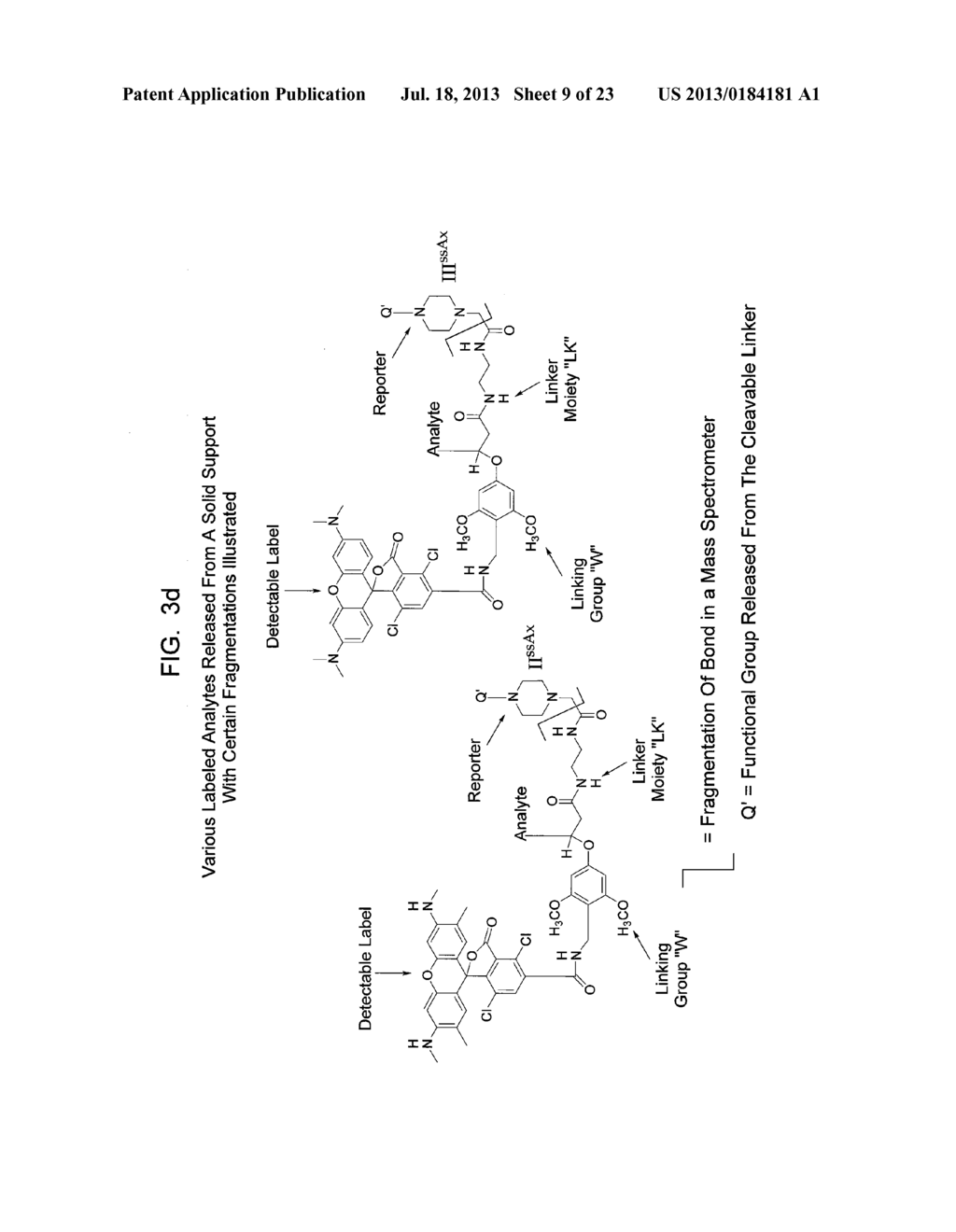 ANALYTE DETERMINATION UTILIZING MASS TAGGING REAGENTS COMPRISING A     NON-ENCODED DETECTABLE LABEL - diagram, schematic, and image 10