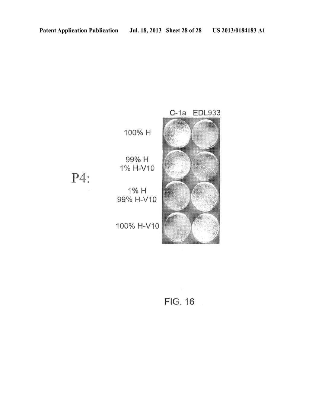 RECOMBINANT BACTERIOPHAGE AND METHODS FOR THEIR USE - diagram, schematic, and image 29