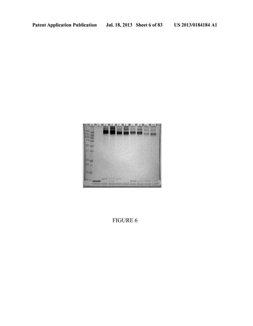 Methods and/or Use of Oligonucleotide Conjugates Having Varied Degrees of     Labeling for Assays and Detections - diagram, schematic, and image 07