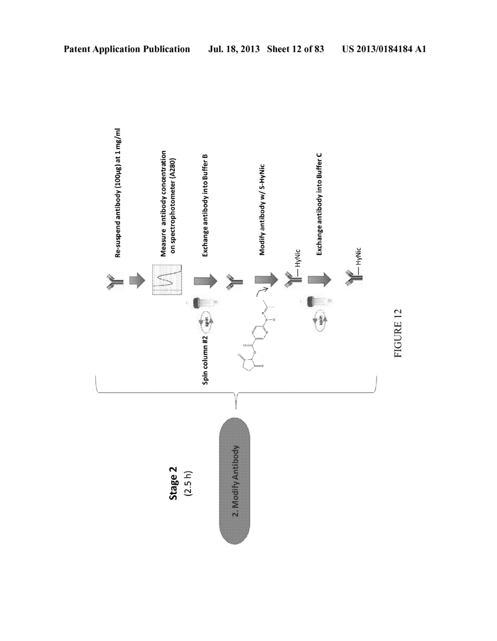 Methods and/or Use of Oligonucleotide Conjugates Having Varied Degrees of     Labeling for Assays and Detections - diagram, schematic, and image 13