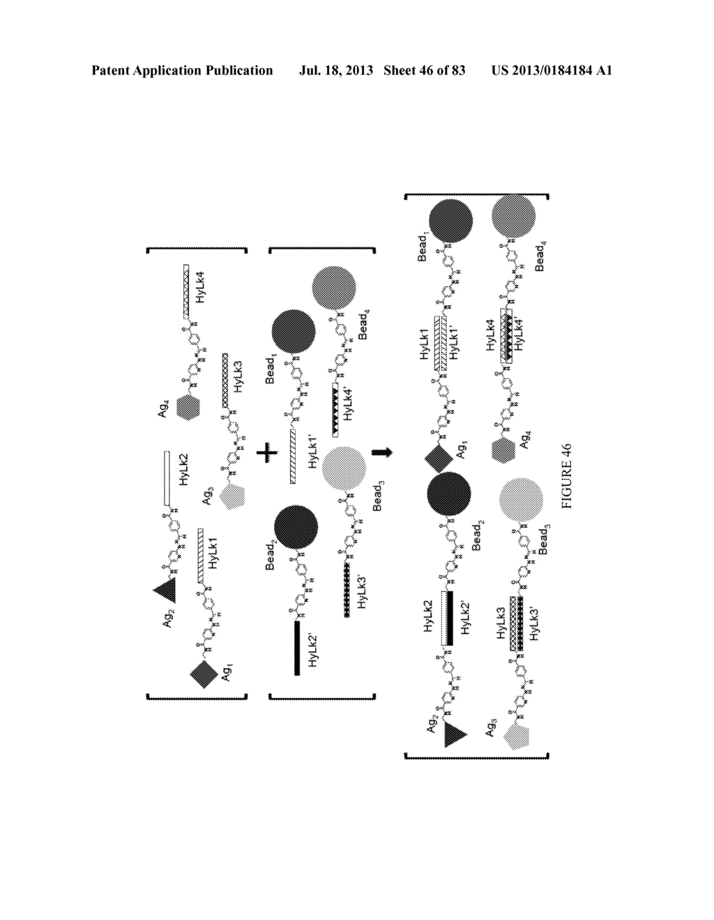 Methods and/or Use of Oligonucleotide Conjugates Having Varied Degrees of     Labeling for Assays and Detections - diagram, schematic, and image 47