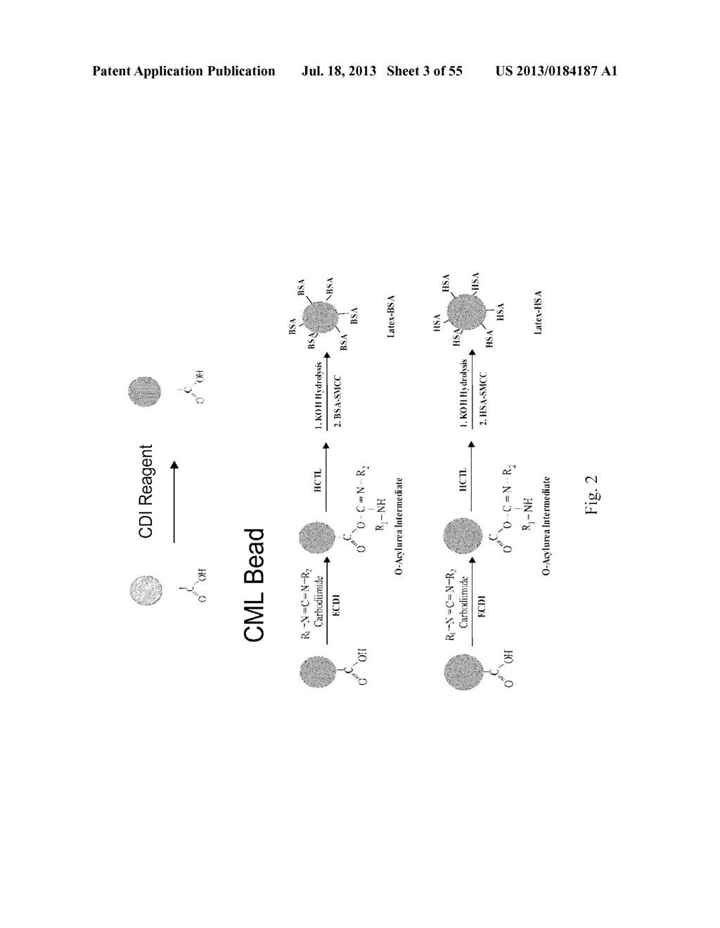 SYSTEMS AND METHODS FOR BIOMARKER ANALYSIS - diagram, schematic, and image 04