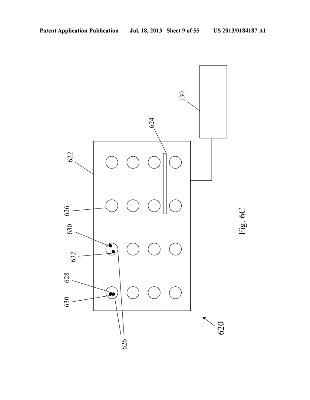 SYSTEMS AND METHODS FOR BIOMARKER ANALYSIS - diagram, schematic, and image 10