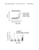 BMP Mutants with Decreased Susceptibility to Noggin diagram and image