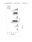 BMP Mutants with Decreased Susceptibility to Noggin diagram and image